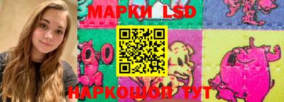 СК Ярославль