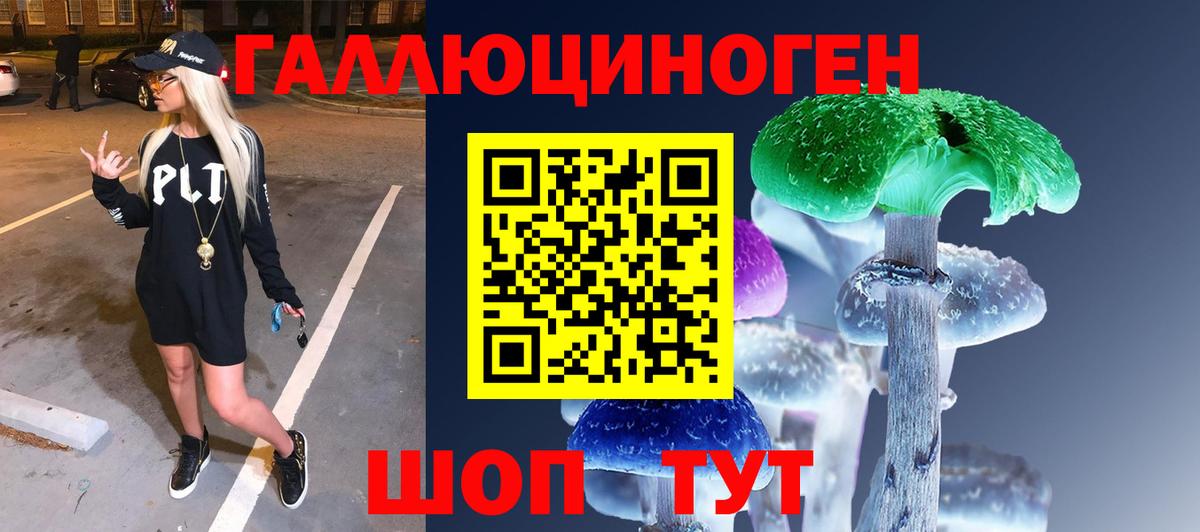 Галлюциногенные грибы GOLDEN TEACHER  Псилоцибиновые грибы GOLDEN TEACHER  Гурьевск  Вход с VPN 