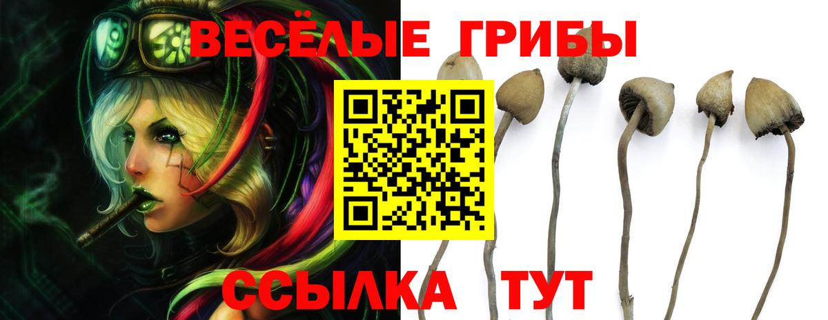 Псилоцибиновые грибы Magic Shrooms Гурьевск