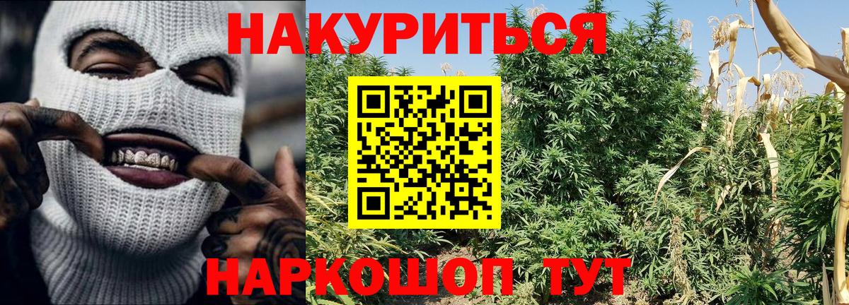 Каннабис марихуана  Канабис SATIVA & INDICA  Бошки марихуана AK-47  Гурьевск  Вход с VPN  Канабис SATIVA & INDICA 